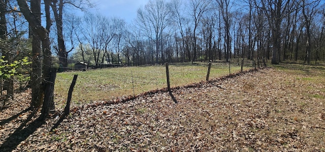 view of yard featuring a rural view