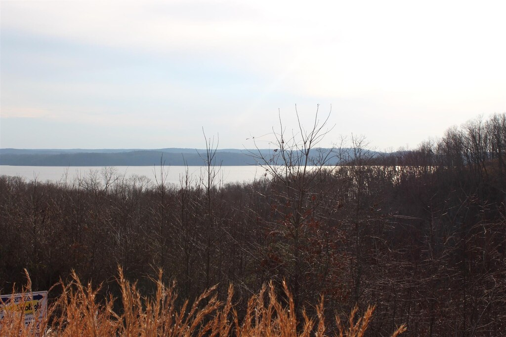 1 Golden Eagle Dr, Dover, TN 37058