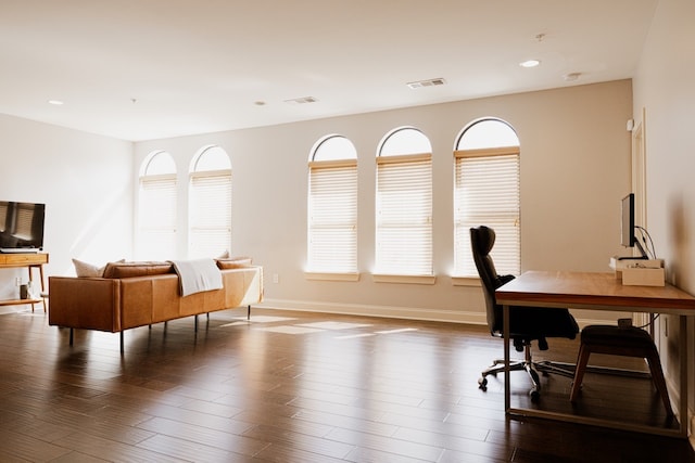 office featuring dark hardwood / wood-style flooring and a wealth of natural light