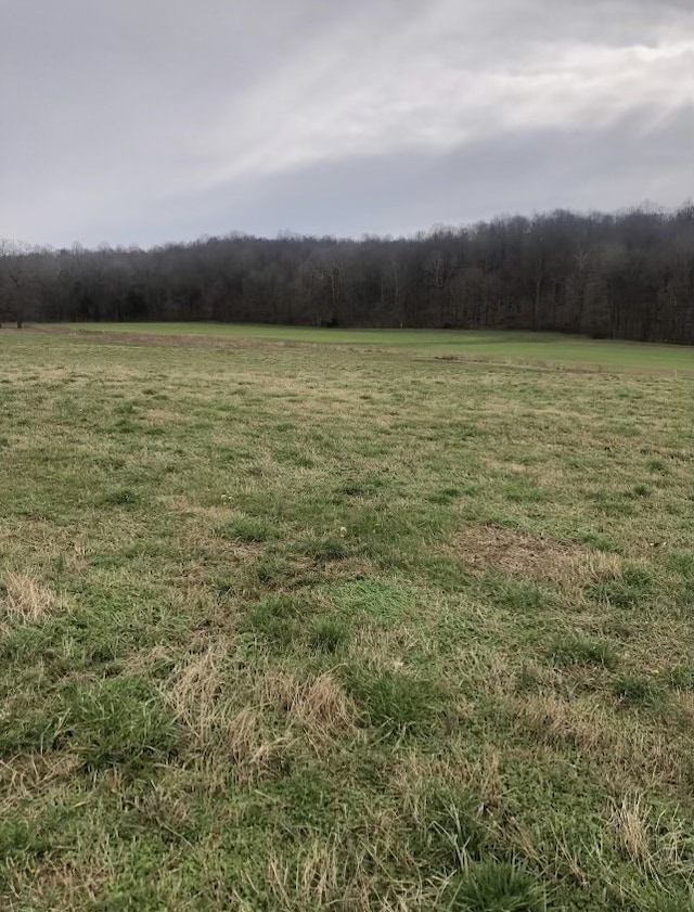 0 Thomasville Rd, Chapmansboro TN, 37035 land for sale