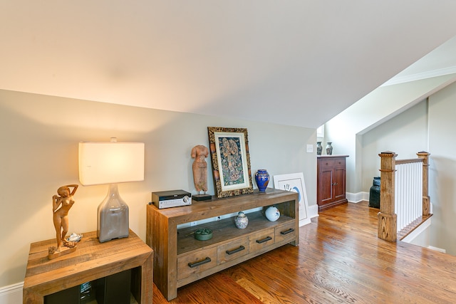 living area featuring lofted ceiling and dark wood-type flooring