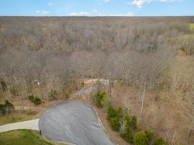 1128 Jacobs Ct, Joelton TN, 37080 land for sale