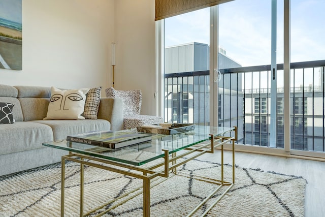 living room featuring expansive windows and light hardwood / wood-style flooring