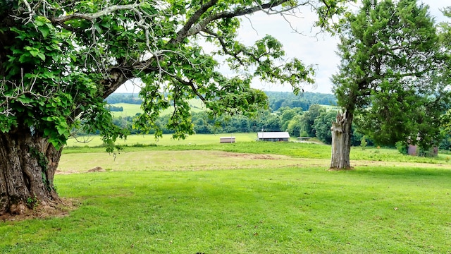 view of yard with a rural view