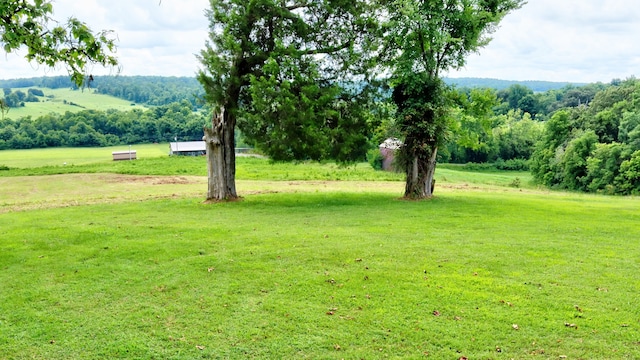 view of yard with a rural view