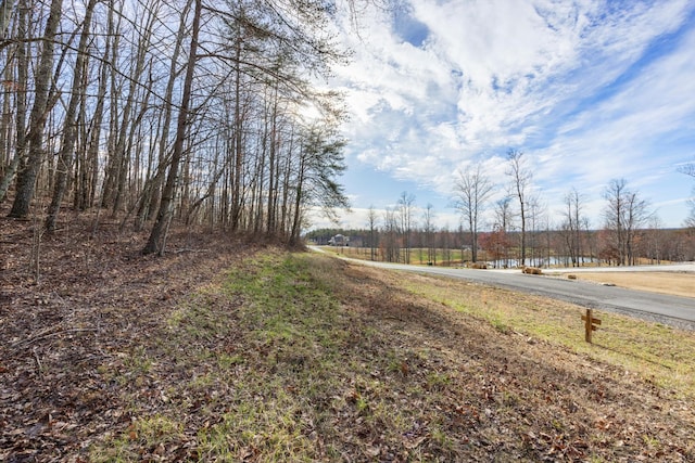 Listing photo 3 for 1920 Raulston Falls Rd, Jasper TN 37347