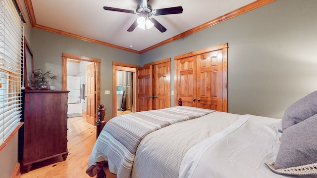 bedroom featuring ornamental molding, ceiling fan, multiple closets, and light wood-type flooring