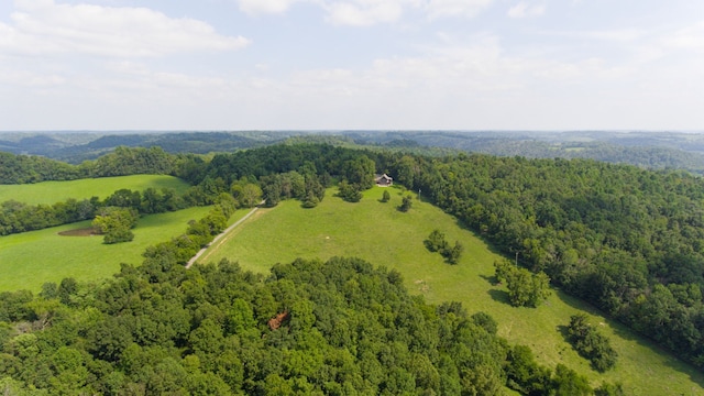 view of drone / aerial view