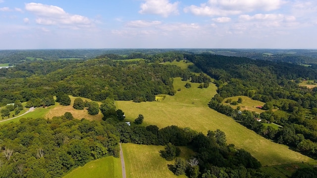 view of bird's eye view