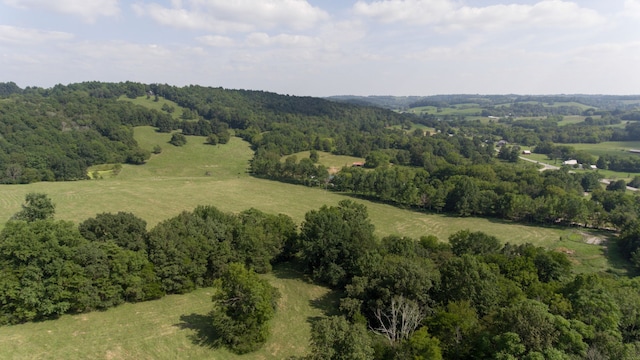 aerial view with a rural view