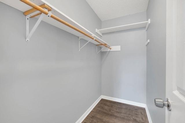 walk in closet featuring wood-type flooring