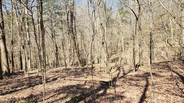 0 Floyd Dr, Smithville TN, 37166 land for sale