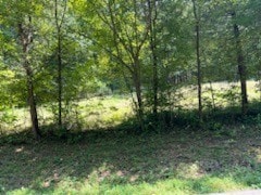 Listing photo 3 for 0 Shelter Branch Rd, Charlotte TN 37036