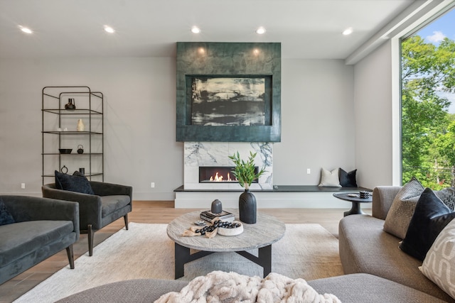 living room with light hardwood / wood-style floors and a fireplace