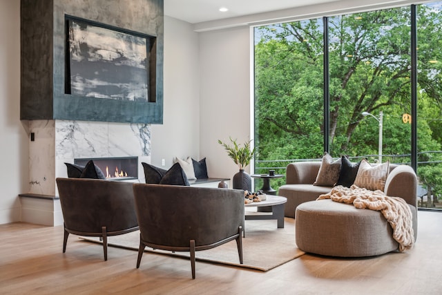 living room with a fireplace and light hardwood / wood-style flooring