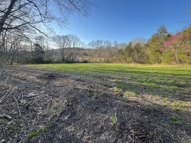 Listing photo 3 for 0 Bo Rd, Eagleville TN 37060