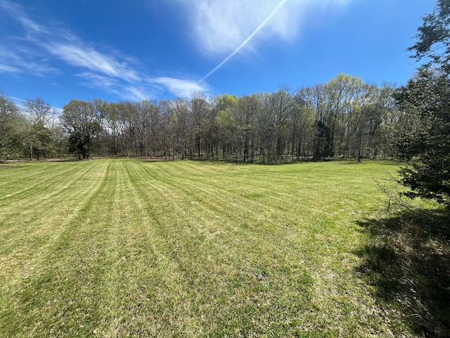 0 Bo Rd, Eagleville TN, 37060 land for sale