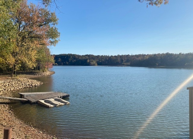 water view featuring a boat dock