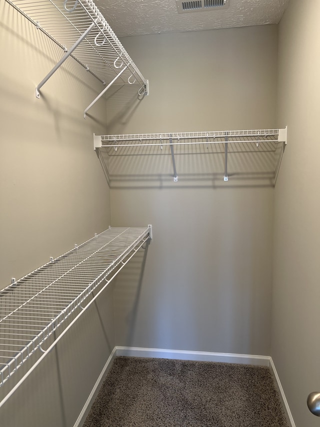 spacious closet featuring carpet floors