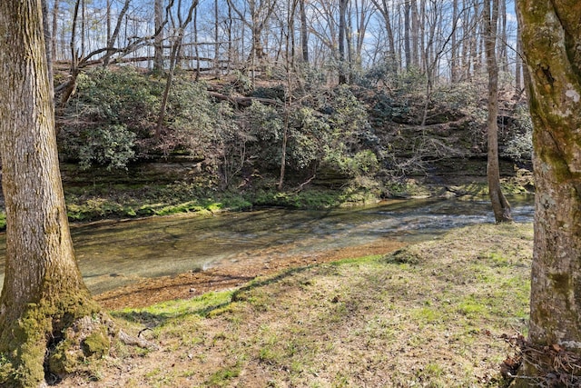 view of yard with a water view