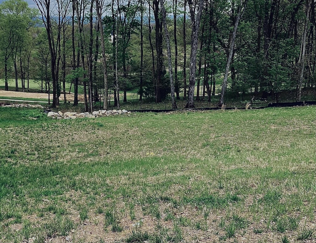 1158 Callaway Dr, Lebanon, TN 37087