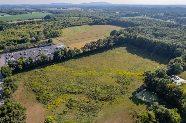 drone / aerial view featuring a rural view