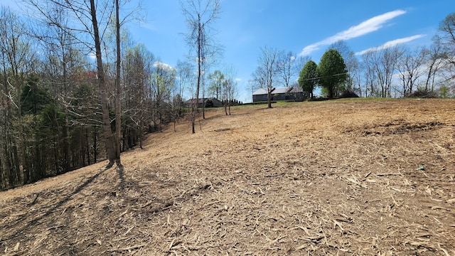 0 Opal Pt, Smithville TN, 37166 land for sale