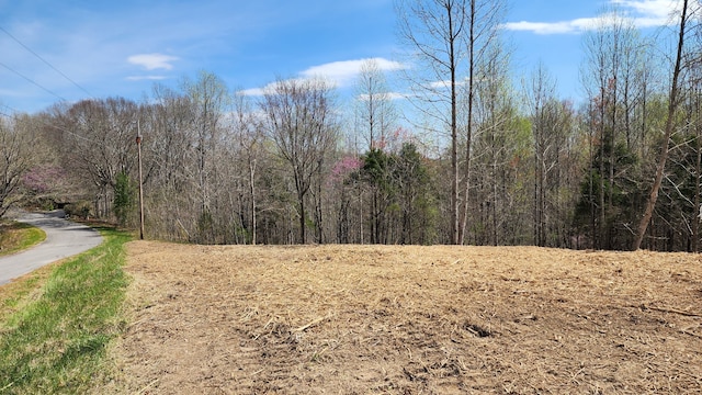 Listing photo 3 for 0 Opal Pt, Smithville TN 37166