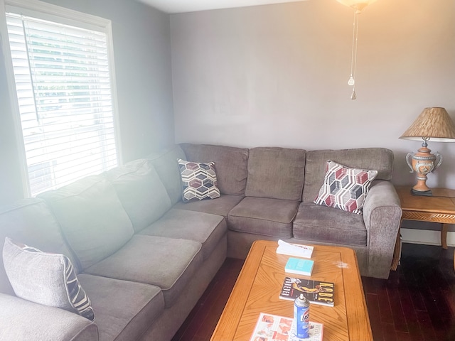 living room featuring dark wood-type flooring