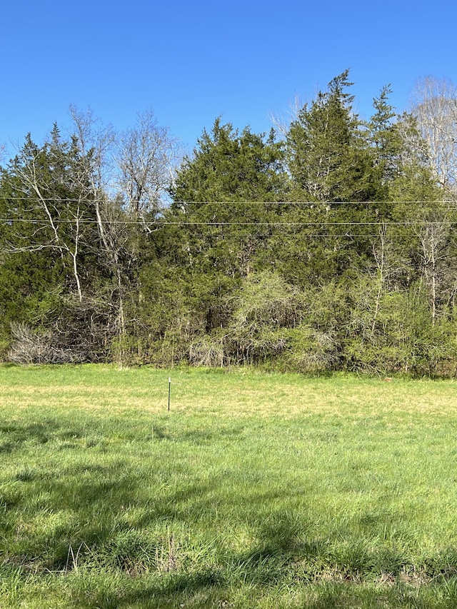 0 Spring Valley Rd, Taft TN, 38488 land for sale