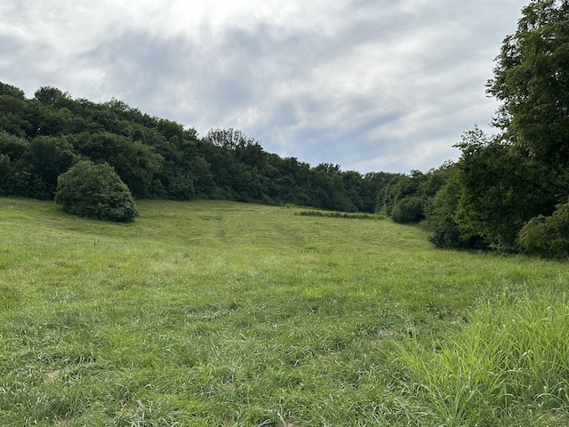 1759 Dean Rd, Thompsons Station, TN 37179 - photo 4