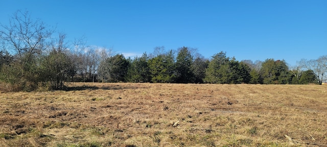 1 Green Acres Rd, Unionville TN, 37180 land for sale