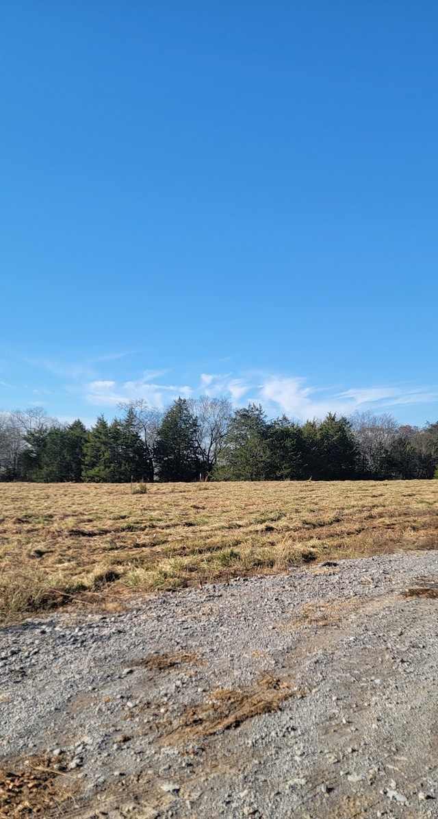 Listing photo 2 for 1 Green Acres Rd, Unionville TN 37180