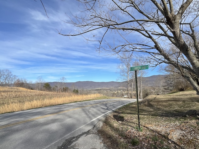 view of road featuring a mountain view