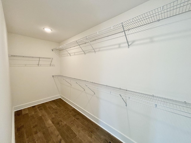 spacious closet with dark wood finished floors