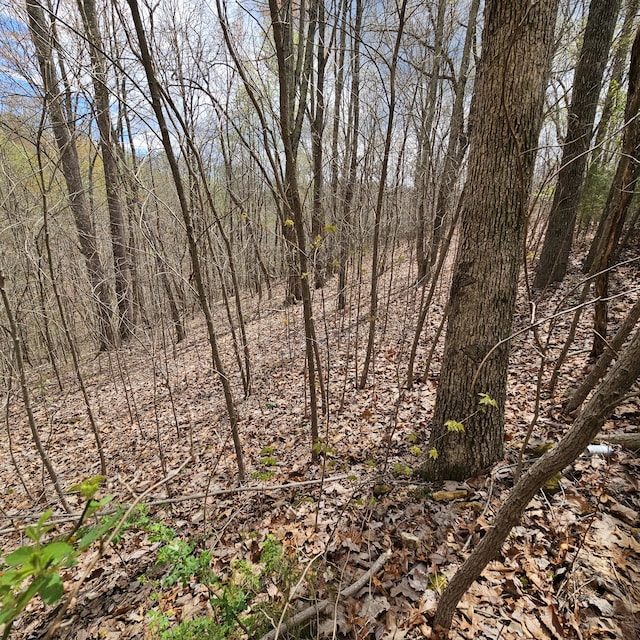 0 Drew Ct, Smithville TN, 37166 land for sale