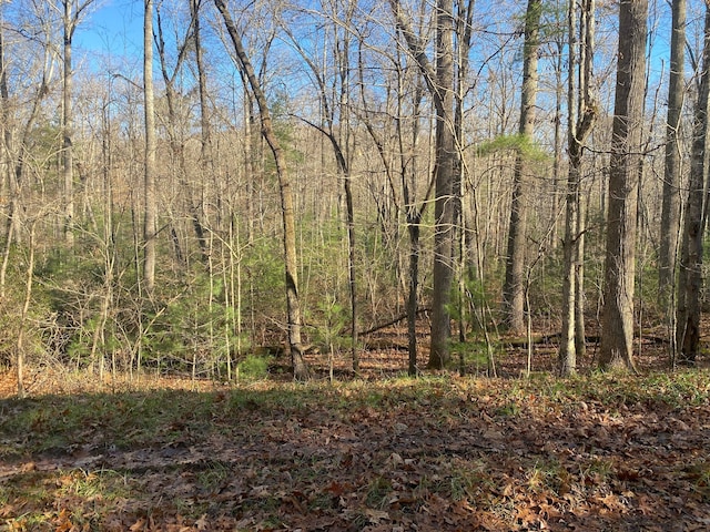 33 Hamels Ln, Crossville TN, 38558 land for sale