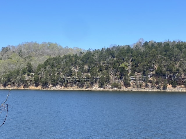 715 River Front Dr, Clifton TN, 38425 land for sale