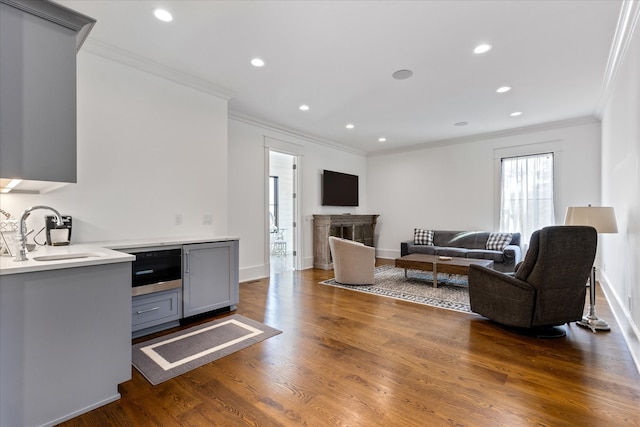 living room with sink, ornamental molding, and wood-type flooring