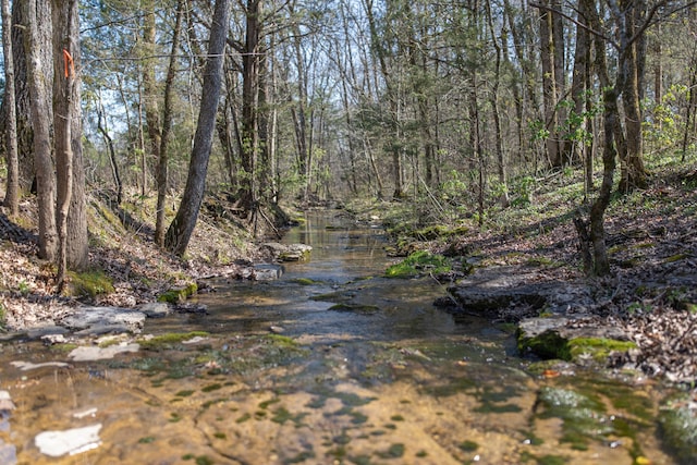 view of local wilderness featuring a water view