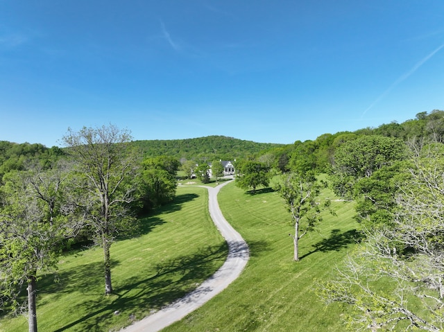 surrounding community featuring a yard