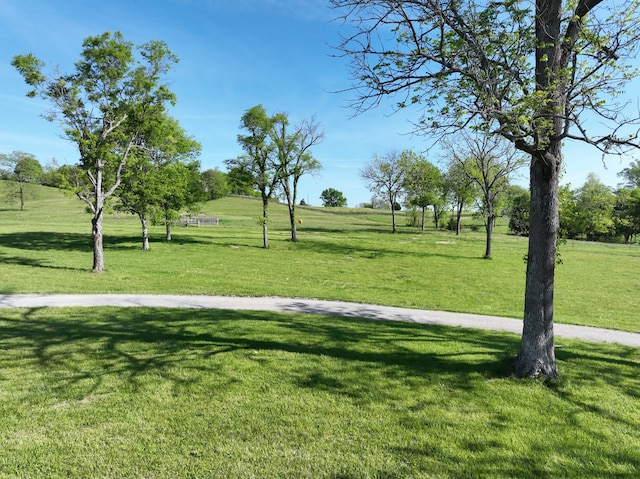 view of property's community with a yard