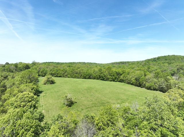 view of drone / aerial view