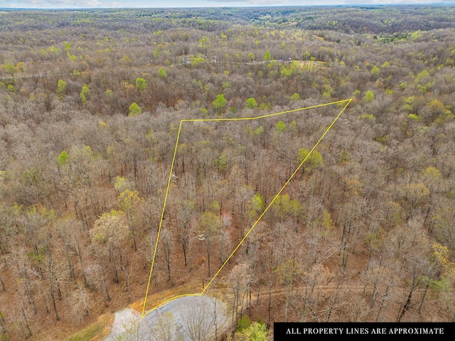 0 Grand View Ct, Mc Ewen TN, 37101 land for sale