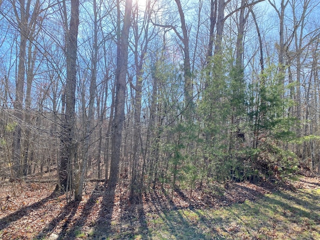 0 Hawks Bluff Rd, Spencer TN, 38585 land for sale