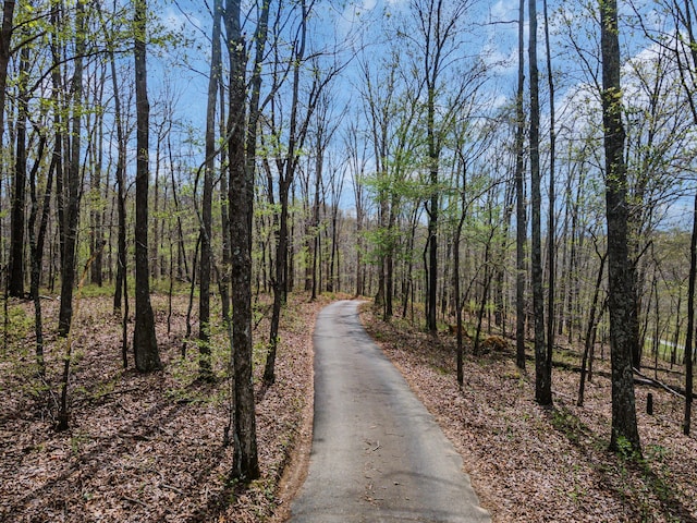 view of road