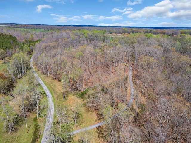 view of birds eye view of property