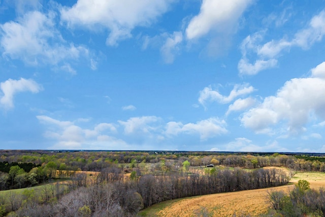 view of nature with a rural view