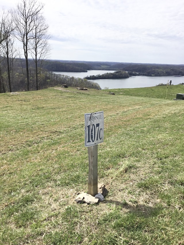 107C Sunfish Ln, Hilham TN, 38568 land for sale