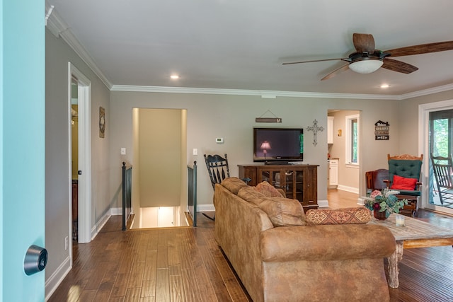 living room featuring ornamental molding, ceiling fan, and dark wood-type flooring